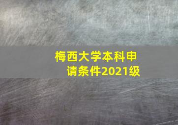 梅西大学本科申请条件2021级