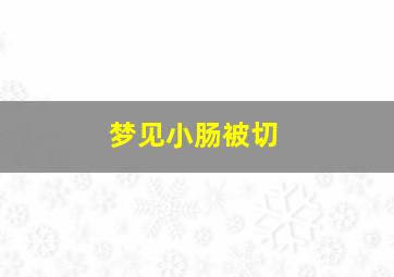 梦见小肠被切