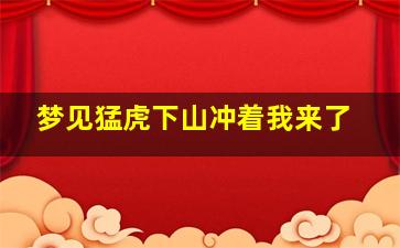 梦见猛虎下山冲着我来了