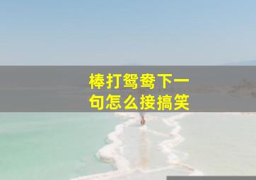 棒打鸳鸯下一句怎么接搞笑