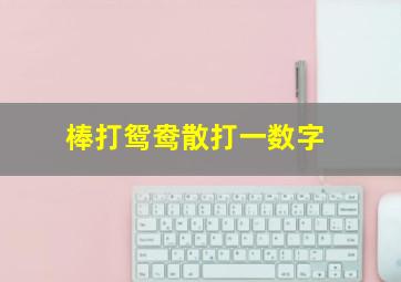 棒打鸳鸯散打一数字