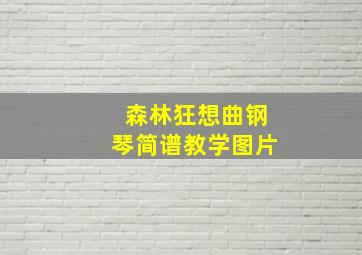 森林狂想曲钢琴简谱教学图片