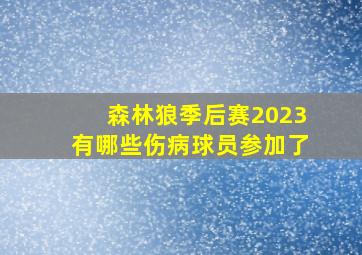 森林狼季后赛2023有哪些伤病球员参加了