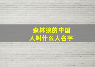 森林狼的中国人叫什么人名字