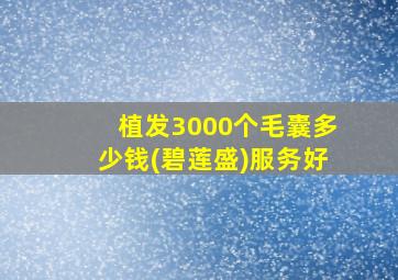 植发3000个毛囊多少钱(碧莲盛)服务好