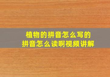 植物的拼音怎么写的拼音怎么读啊视频讲解