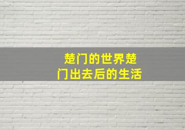 楚门的世界楚门出去后的生活