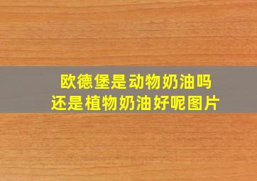 欧德堡是动物奶油吗还是植物奶油好呢图片