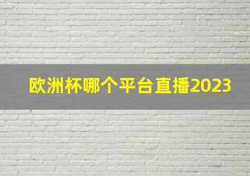 欧洲杯哪个平台直播2023