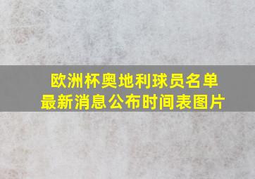 欧洲杯奥地利球员名单最新消息公布时间表图片