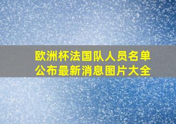 欧洲杯法国队人员名单公布最新消息图片大全