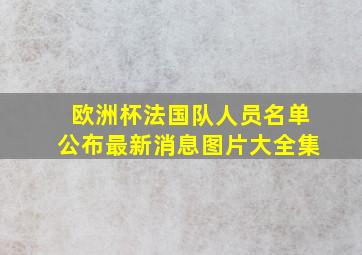 欧洲杯法国队人员名单公布最新消息图片大全集