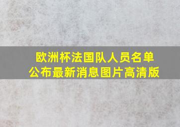 欧洲杯法国队人员名单公布最新消息图片高清版