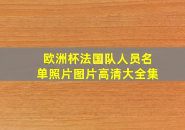 欧洲杯法国队人员名单照片图片高清大全集