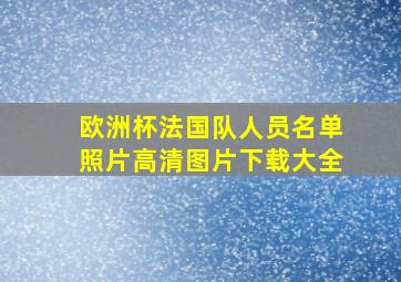 欧洲杯法国队人员名单照片高清图片下载大全