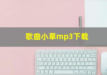 歌曲小草mp3下载