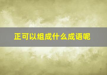 正可以组成什么成语呢