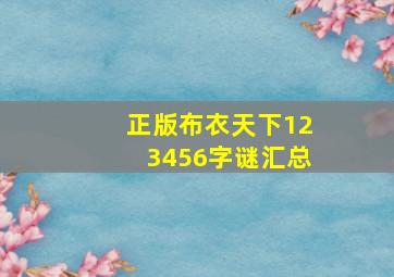 正版布衣天下123456字谜汇总