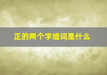 正的两个字组词是什么