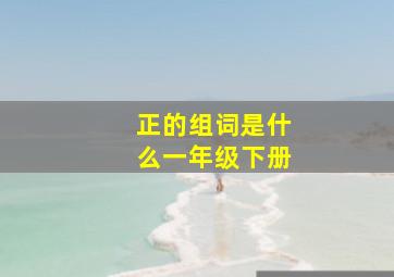 正的组词是什么一年级下册