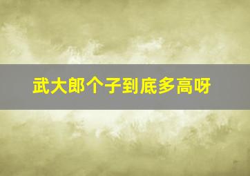 武大郎个子到底多高呀