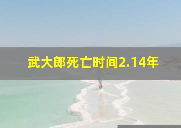 武大郎死亡时间2.14年