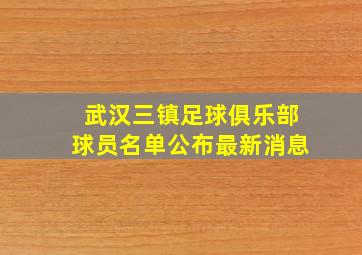 武汉三镇足球俱乐部球员名单公布最新消息