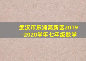 武汉市东湖高新区2019-2020学年七年级数学