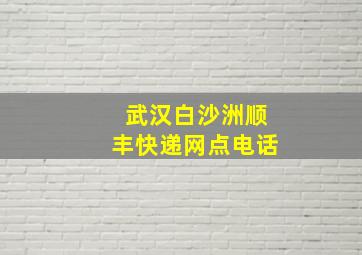 武汉白沙洲顺丰快递网点电话