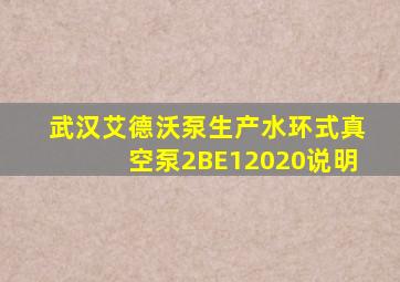 武汉艾德沃泵生产水环式真空泵2BE12020说明