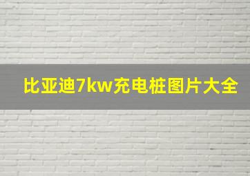 比亚迪7kw充电桩图片大全