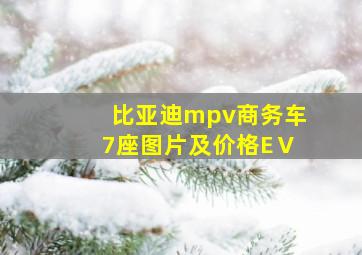 比亚迪mpv商务车7座图片及价格EⅤ