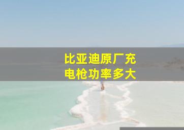 比亚迪原厂充电枪功率多大