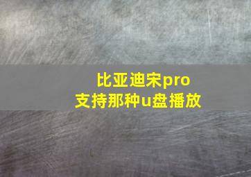 比亚迪宋pro支持那种u盘播放