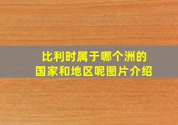 比利时属于哪个洲的国家和地区呢图片介绍