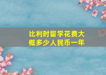 比利时留学花费大概多少人民币一年