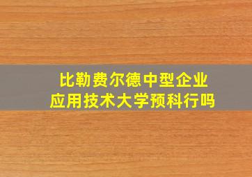 比勒费尔德中型企业应用技术大学预科行吗