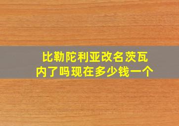 比勒陀利亚改名茨瓦内了吗现在多少钱一个