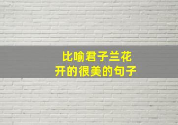 比喻君子兰花开的很美的句子