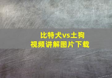 比特犬vs土狗视频讲解图片下载