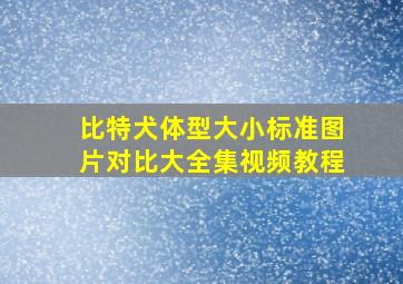 比特犬体型大小标准图片对比大全集视频教程