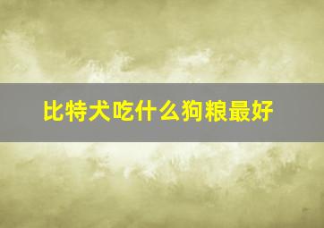 比特犬吃什么狗粮最好