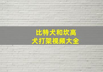 比特犬和坎高犬打架视频大全