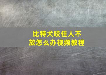 比特犬咬住人不放怎么办视频教程