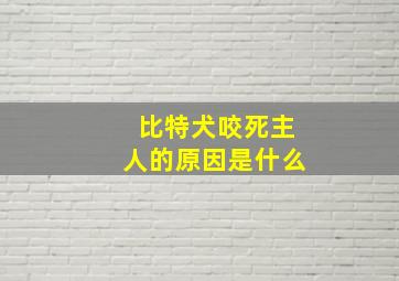 比特犬咬死主人的原因是什么