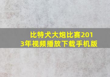 比特犬大炮比赛2013年视频播放下载手机版