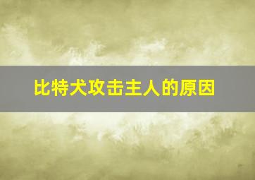 比特犬攻击主人的原因