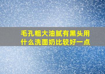 毛孔粗大油腻有黑头用什么洗面奶比较好一点