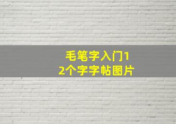 毛笔字入门12个字字帖图片