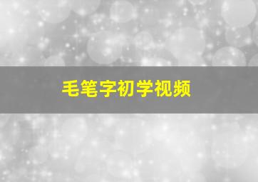 毛笔字初学视频